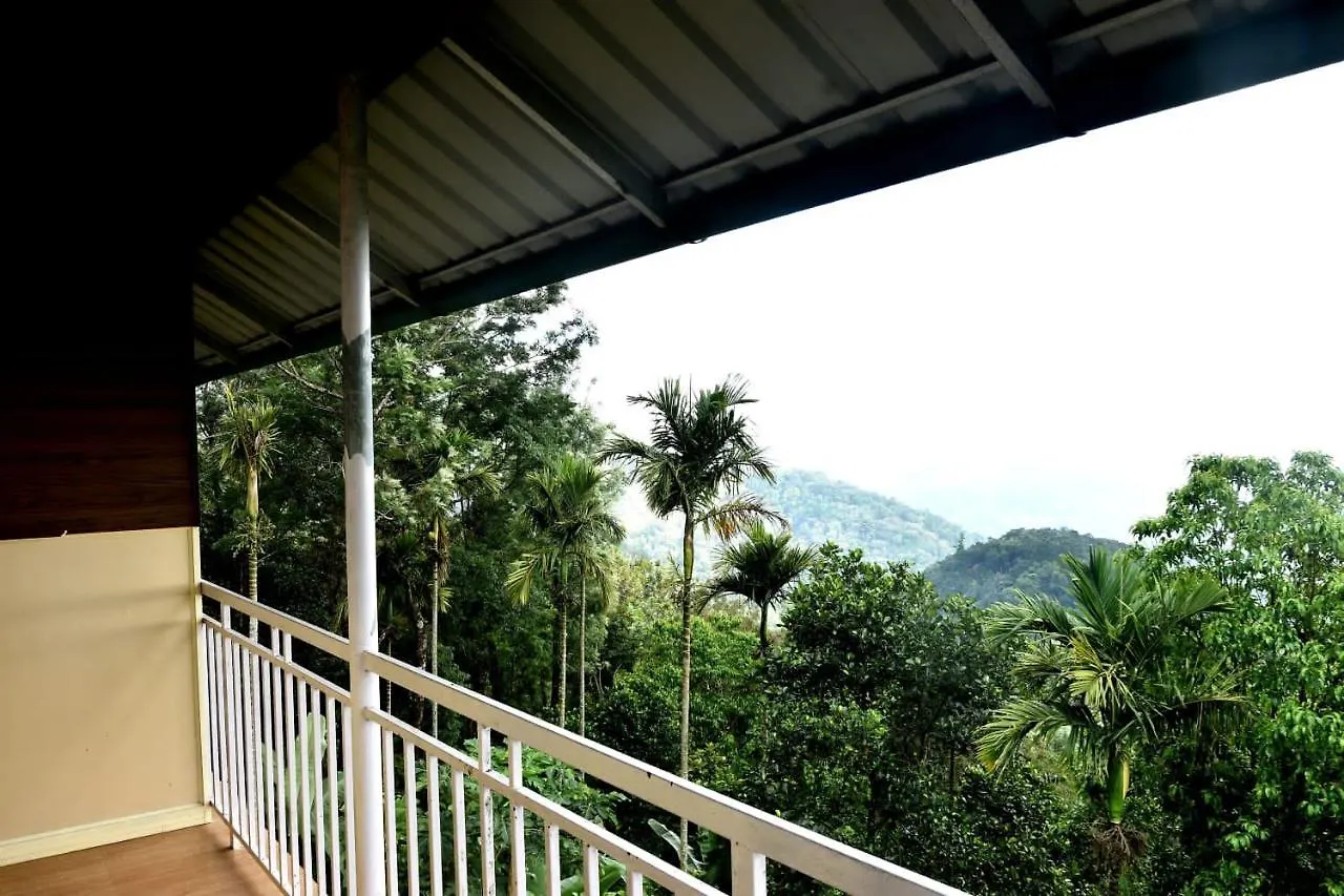 Lodge Munnar Nature Dale Villa India
